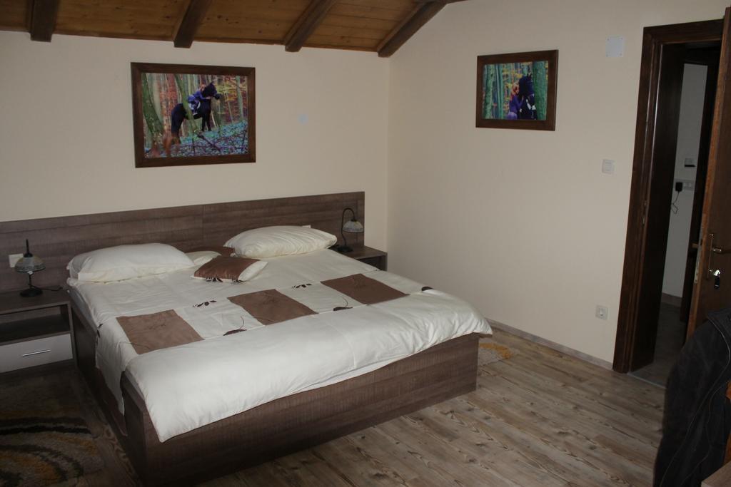 Rooms & Apartment Vinia Bjelovar Cameră foto